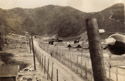 Korean War Photos