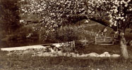 Old photographs of various sites around Wilbraham