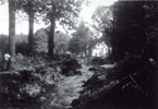 Old photographs of various sites around Wilbraham